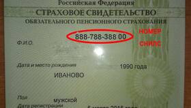 Что такое номер страхового свидетельства в Четыре глаза