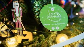 Что такое золотая акция и ее возможности в Четыре глаза