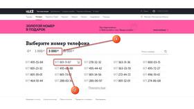 Как перейти на интернет от Tele2 в Четыре глаза