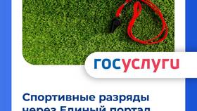 Как подать заявление на реабилитацию через Госуслуги в Четыре глаза