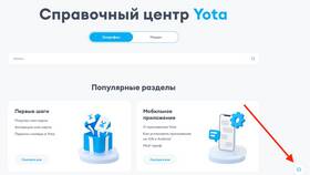 Как посмотреть счет на Йоте в Четыре глаза