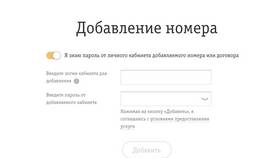 Как сделать кабинет Билайн в Четыре глаза