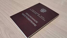 Меры по отмене пенсионной реформы