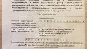 Отчет 1-ИП: что это такое в Четыре глаза