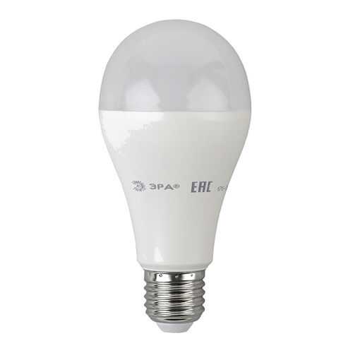 Лампа светодиодная 18W ЭРА ECO LED smd A65 в Четыре глаза