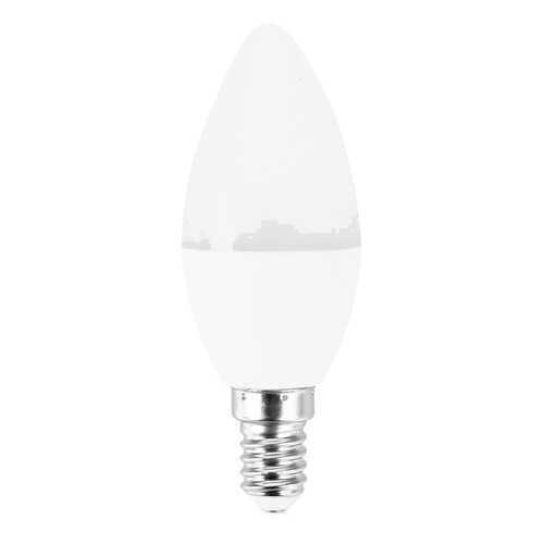 Лампа светодиодная ASD свеча C37 E14 10W 4000K, 102x37, пластик/алюминий, standard, 5576 в Четыре глаза