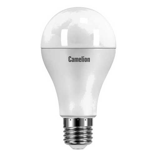 Лампочка Camelion LED25-A65/865/E27 в Четыре глаза