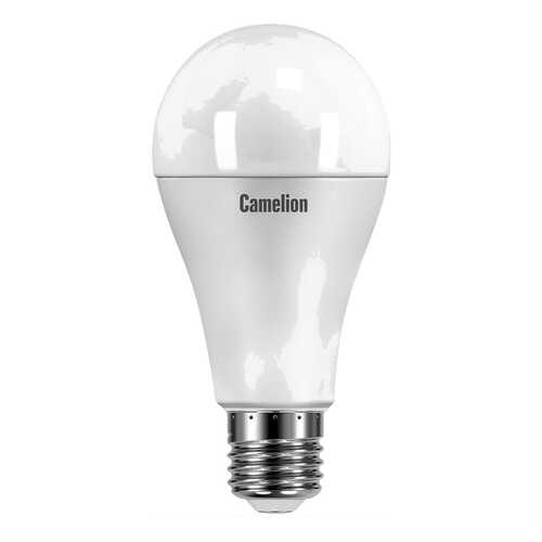 Лампочка Camelion LED9-A60/830/E27 в Четыре глаза