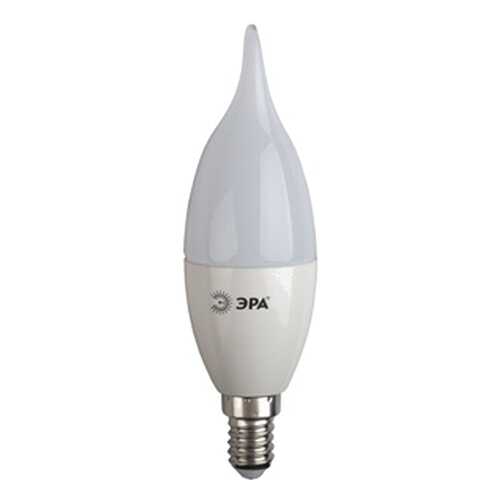 Лампочка ЭРА BXS-7w-827-E14 в Четыре глаза
