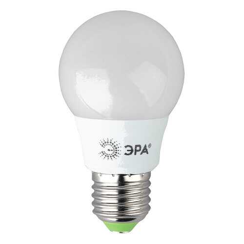 Лампочка ЭРА ECO LED A55-6W-827-E27 Б0028008 в Четыре глаза