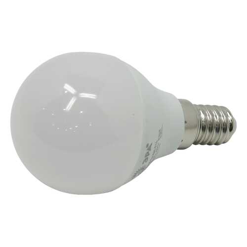 Лампочка ЭРА P45-7w-840-E14 в Четыре глаза