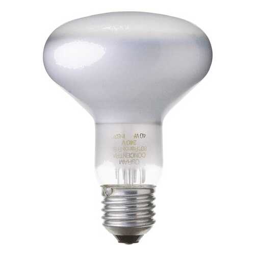 Накаливания Лампочка OSRAM 4050300066066 в Четыре глаза