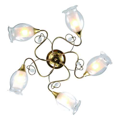 Люстра потолочная Arte Lamp A9289PL-5GO в Четыре глаза