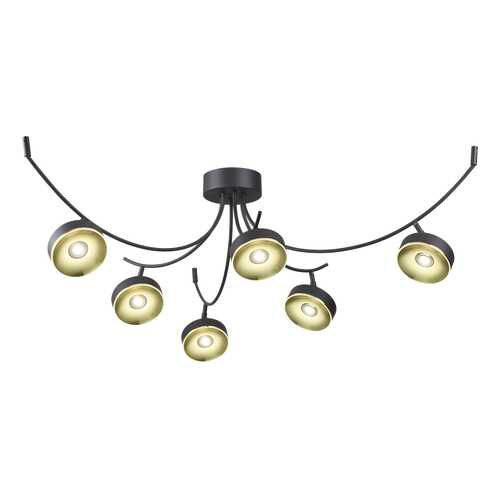 Люстра потолочная Odeon Light 3812/42CL в Четыре глаза