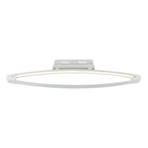 Потолочный светодиодный светильник ST Luce SL920,102,01 в Четыре глаза