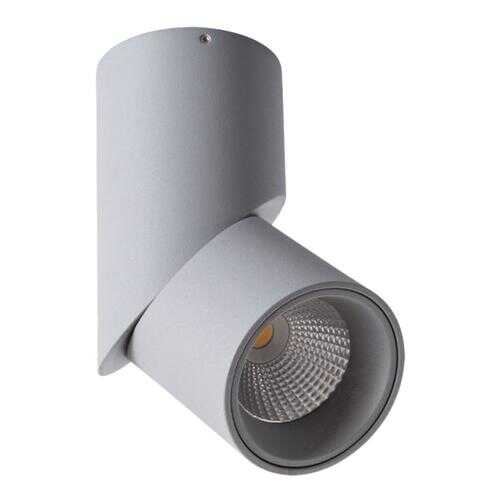 Светильник Arte Lamp ORIONE A7717PL-1GY в Четыре глаза