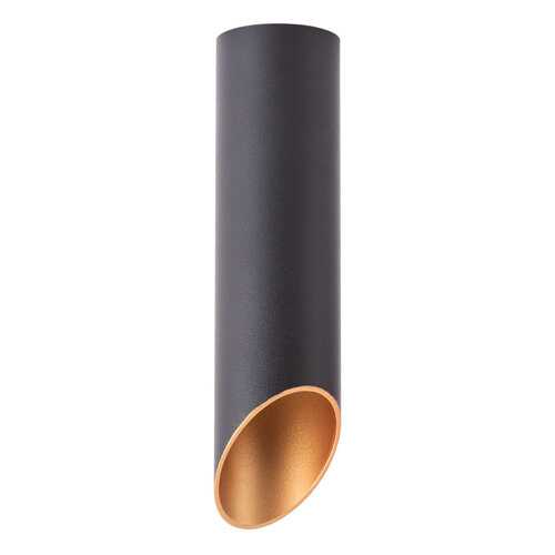 Светильник Arte Lamp PILON-GOLD A1535PL-1BK в Четыре глаза