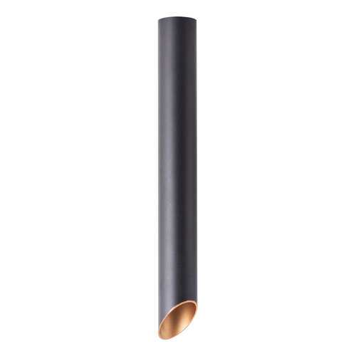Светильник Arte Lamp PILON-GOLD A1537PL-1BK в Четыре глаза
