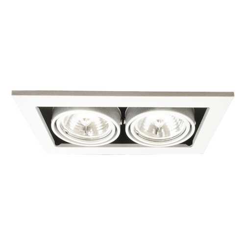 Встраиваемый светильник Arte Lamp A5930PL-2WH Серый в Четыре глаза