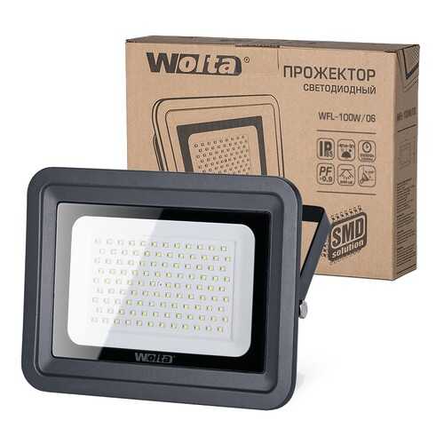 Прожектор Wolta WFL-100W/06 в Четыре глаза