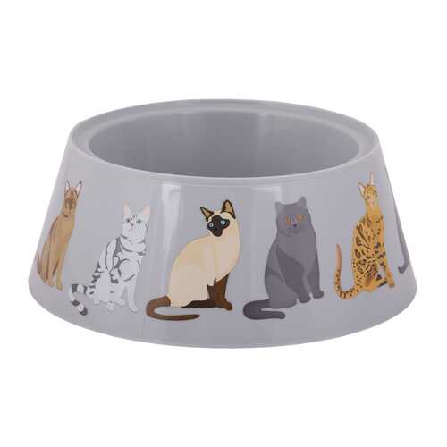 Миска Cats 0,7 л в Четыре глаза
